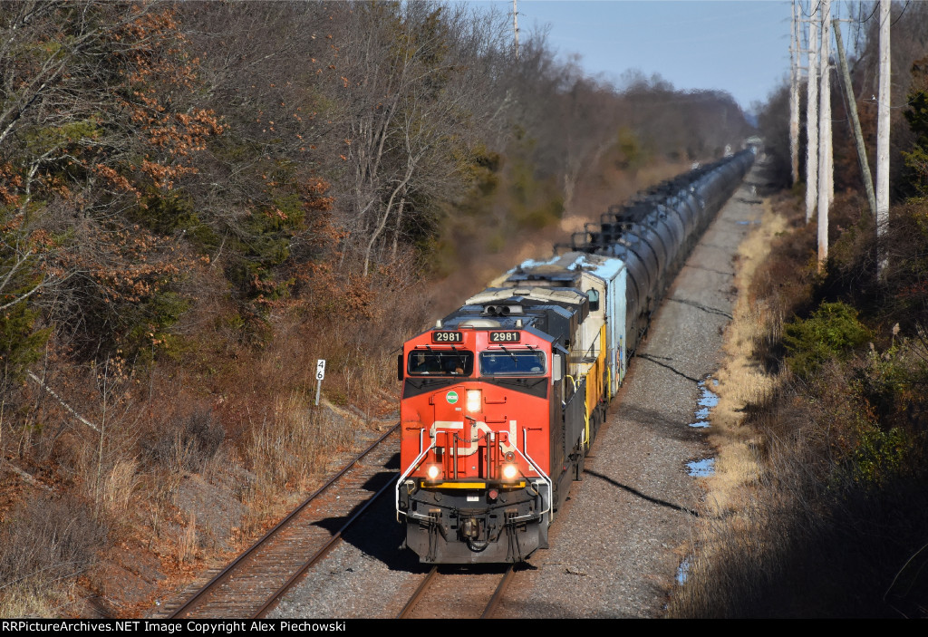 CN 2981